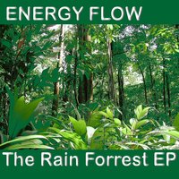 The Rain Forrest - Energy Flow