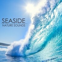 Soundscapes for Relaxation - Underwater Sounds Specialists