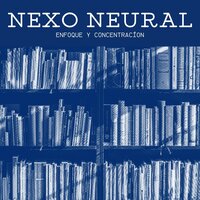 Paz en el Silencio - Enfoque y concentración