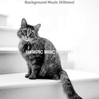 Music - Sort - Fantastic Music for Cats
