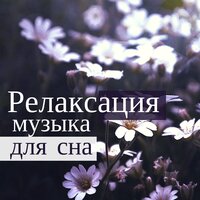 Аюрведа - Музыка Релакс Коллекция