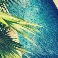 Thrilling Ambience for Dinner Parties - Latin Lounge Music Society