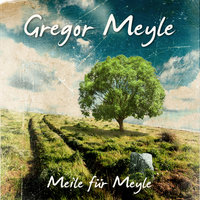 Du bist das Licht - Gregor Meyle