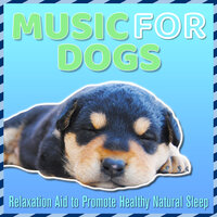 Happy Memories - Dog Music Dreams & RelaxMyDog
