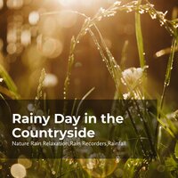 Countryside Breeze - Rain Recorders & Rainfall & Nature Rain Relaxation