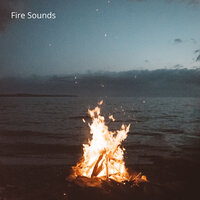 Warm Fire and Friends - Fireplace Sounds & Fire Sounds & Sounds of Nature Noise