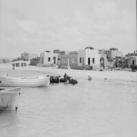 الحياة - Sinan