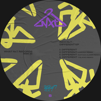 Different - Rich NxT & Larosa