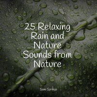Drops Inside - Música de la Naturaleza & Sleep Recording Sounds & ReGen