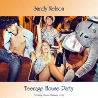 Night Train - Sandy Nelson