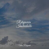 Ballet Del Cielo - Academia de Música para Massagem Relaxamento & Meditar Profundamente & Musica para Dormir 101