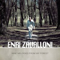 Sunbeams Among Branches - Enri Zavalloni