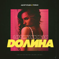 Силиконовая долина - Адлер Коцба