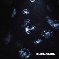 Phenomen - c152