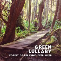 Kindness of Nature - Sleepy Music Zone