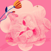 Jazz Soundtrack for Kitten Anxieties - For Cats Only