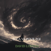 le chat perché - DAVID LOEVAN