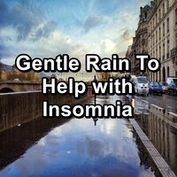 Soft Rain For a Peaceful Night To Loop for 10 Hours - ASMR & White Noise Baby Sleep & Deep Sleep Meditation