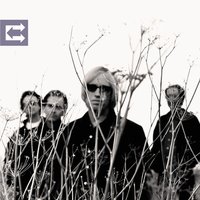 Accused of Love - Tom Petty And The Heartbreakers