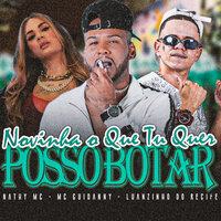 Novinha o Que Tu Quer / Posso Botar - Luanzinho do Recife & MC Guidanny & Nathy Mc