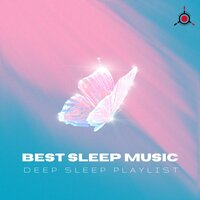 The Sounds of Relaxation - Best Sleep Music