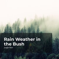 Rainfall in the Savannah - Nature and Rain & Deep Rain Sampling & Jungle Rain