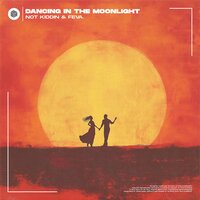 Dancing in the Moonlight - Not Kiddin & feva.