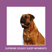Pet Serenity - Calm My Dog