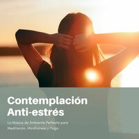 Incrementar el Poder del Cerebro - El Alma