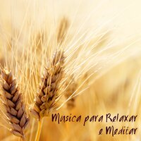 Som de Agua para Relaxar o Espírito - Oasis Relaxamento