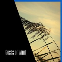 Deep, Arctic Wind Sounds - ASMR Wind Channel & Wind Noise & Sleep & Wind White Noise Channel
