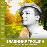 Нелетная погода - Владимир Трошин