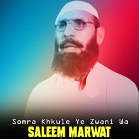 Somra Khkule Ye Zwani Wa - Saleem Marwat