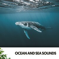 Gentle Currents - Ruido Blanco Hart & Ocean Sounds FX & The Nature Soundscapes