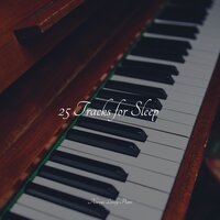 We Can Fly - Instrumental Piano Universe & Soothing Piano Collective & Baby Sleep