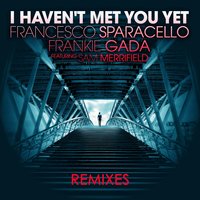 I Haven't Met You Yet - Francesco Sparacello & Sam Merrifield