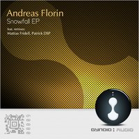 Snowfall - Andreas Florin
