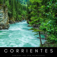 Junto A Las Corrientes - Sonidos De Agua & Musica relajante dormir & Meditación Guiada