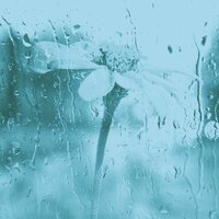 Мечты (Работающий) - Расслабляющий фортепиано