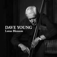 I Thought About You - Dave Young & Bernie Senensky