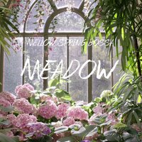 Embrace Peaceful Moments - 코랑이