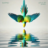 UP & UP - BLKPND