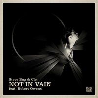 Not in Vain - Steve Bug & Cle & Robert Owens