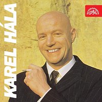 Růžová nálada - Karel Hála