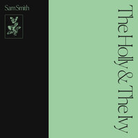 Have Yourself A Merry Little Christmas - Sam Smith