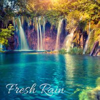 Meditation - Hatha Yoga - Yoga Rain