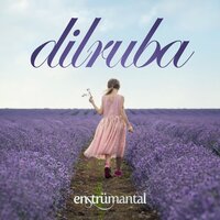 Dilruba - Güncel Paylaşımlar TV