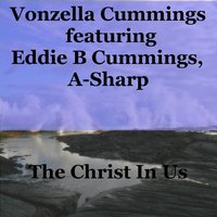 They Lied On Jesus - Eddie B Cummings & Vonzella Cummings & Eddie B Cummings feat. Vonzella Cummings