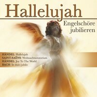 Joy To The World - Wiener Sängerknaben & Studio ensemble & Peter Marschik