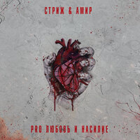 Не больно - Стриж & АМИР